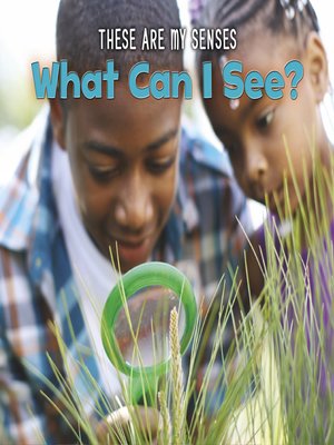 cover image of What Can I See?